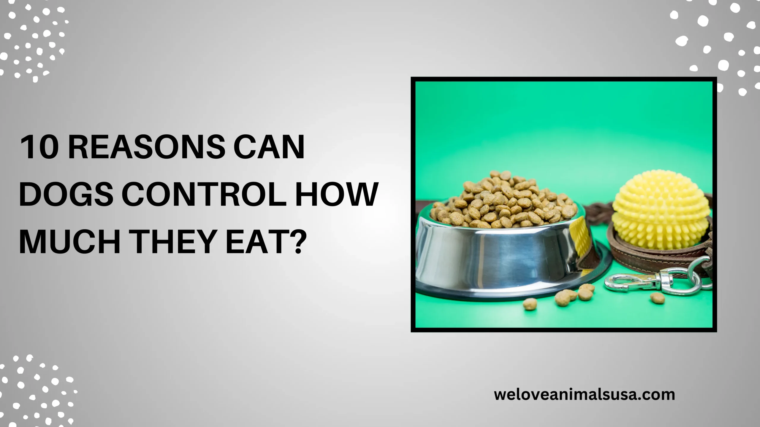 10 Reasons Can Dogs Control How Much They Eat