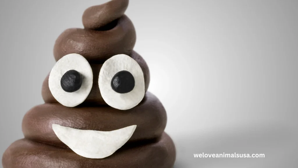 10 Reasons Why Did My Dog Poop Blood