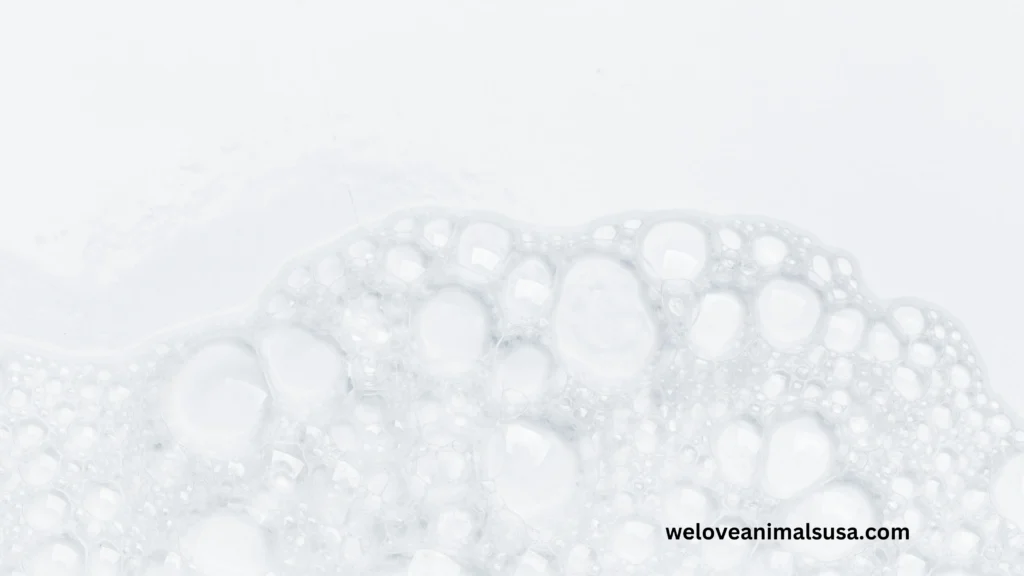10 Reasons Why Did My Dog Throw Up White Foam