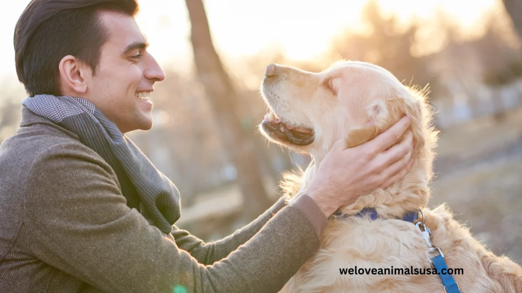 10 Reasons Why Do I Love My Dog So Much