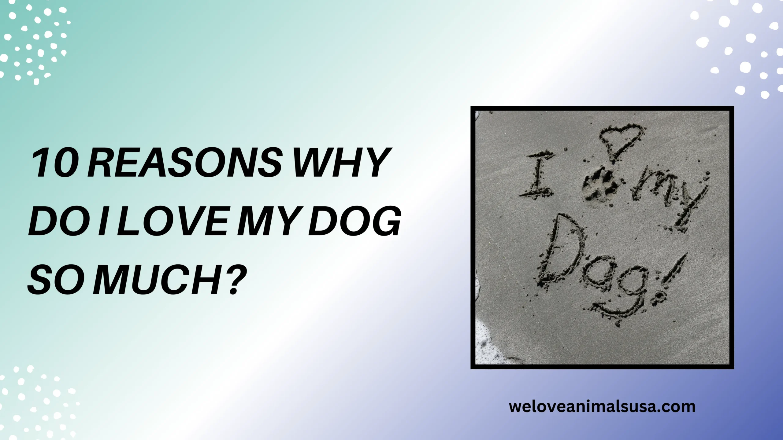 10 Reasons Why Do I Love My Dog So Much