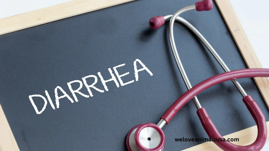 10 Reasons Why Does My Dog Have Diarrhea