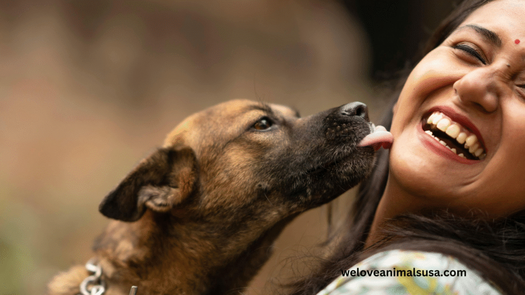 10 Reasons Why Does My Dog Lick Me So Much