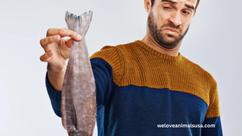 10 Reasons Why Does My Dog Smell Like Fish