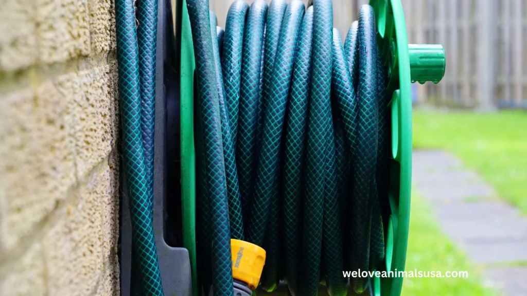 10 Reasons Why Is My Dog Scared Of The Water Hose