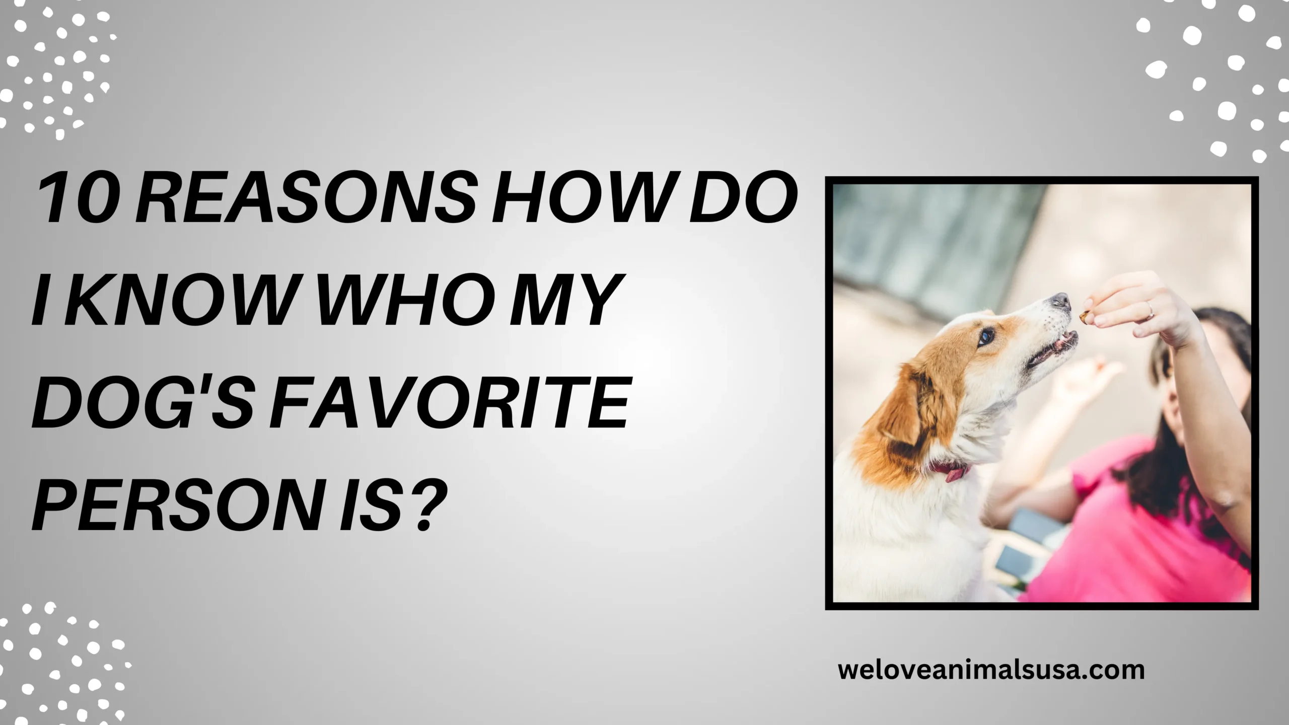 How Do I Know Who My Dog'S Favorite Person Is